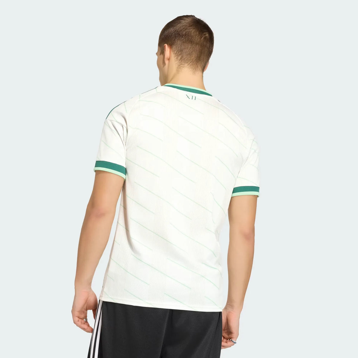 Camiseta Irlanda del Norte 2026 Segunda Equipación | Hombre