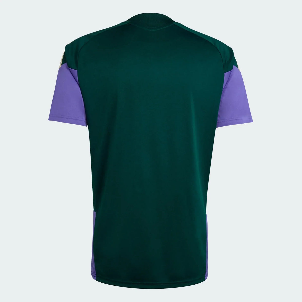Camiseta Arabia Saudí 2026 Entrenamiento | Hombre