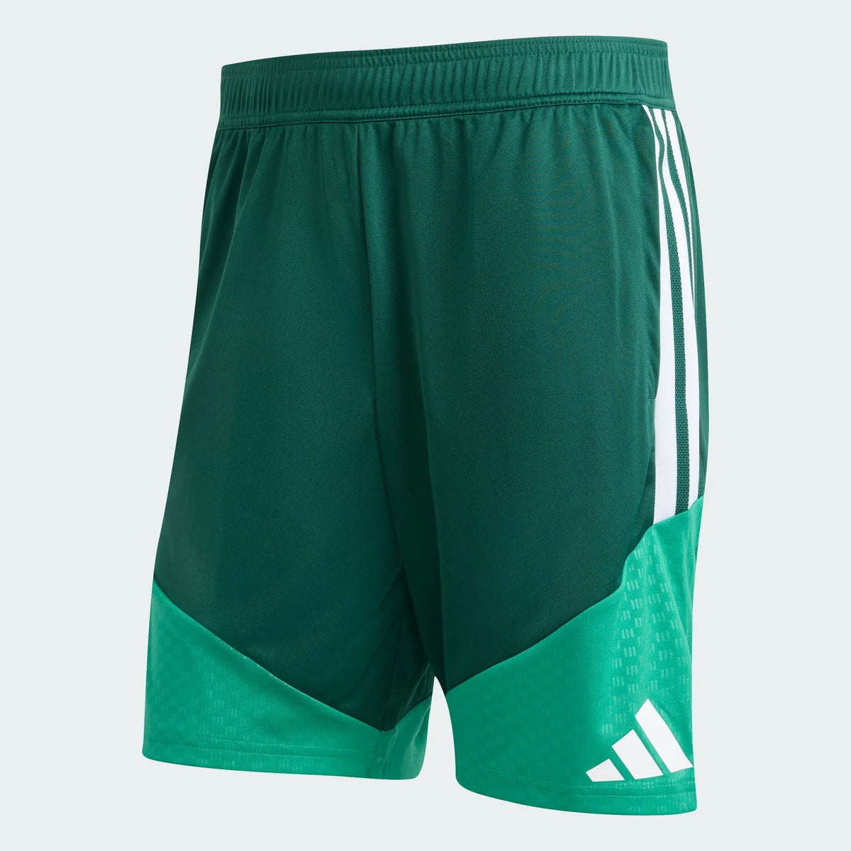 Pantaloncini Allenamento Algeria 2026 Home | Uomo